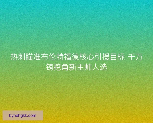 热刺瞄准布伦特福德核心引援目标 千万镑挖角新主帅人选