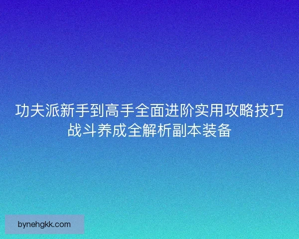 功夫派新手到高手全面进阶实用攻略技巧战斗养成全解析副本装备