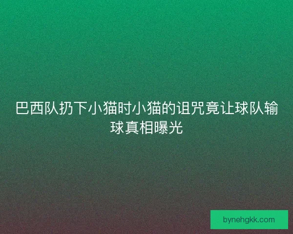 巴西队扔下小猫时小猫的诅咒竟让球队输球真相曝光